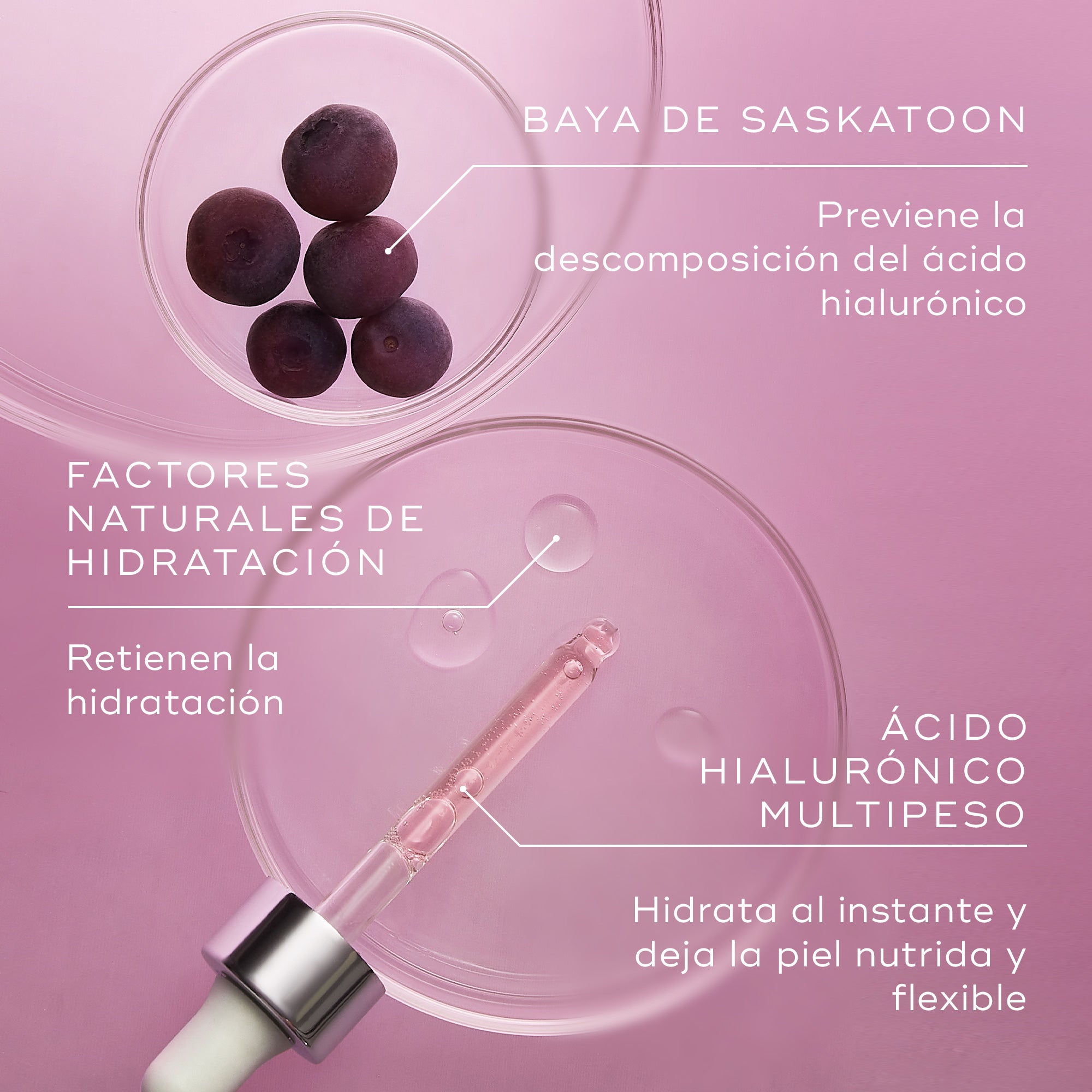 Hydr8 B5 Intense suero facial acido hialuronico ingredientes